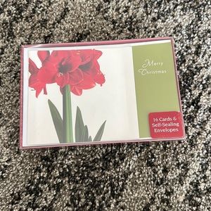 NWT Merry Christmas cards Set of 16 With Envelopes.  🎁